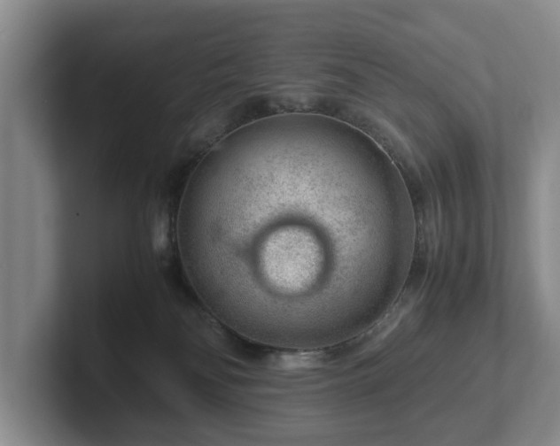 X0000102380134200808081145