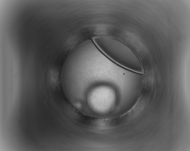 X0000102380136200808081145