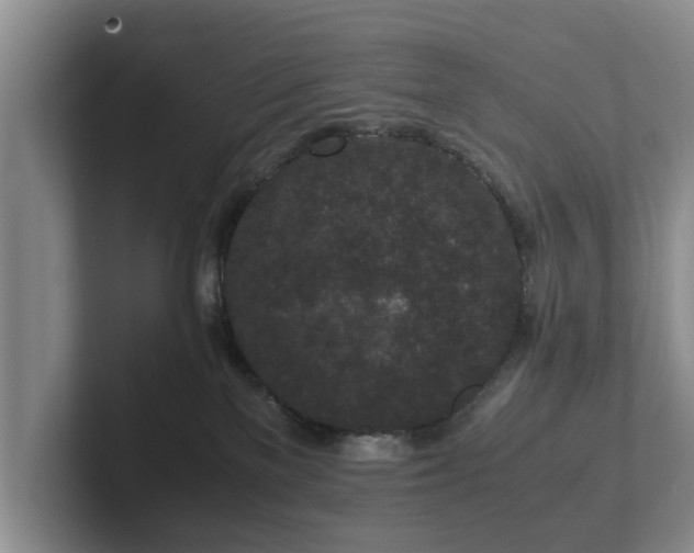 X0000102380137200808081145