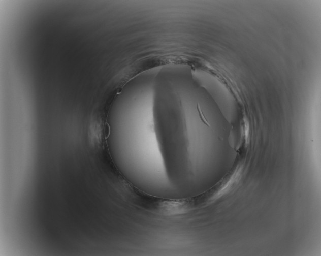 X0000102380139200808081145