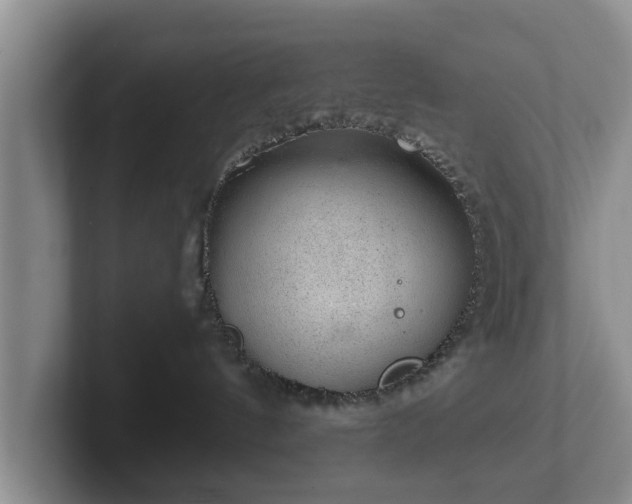 X0000102380144200808081145