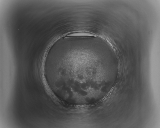 X0000102380145200808081144