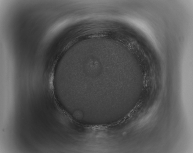 X0000102380146200808081144