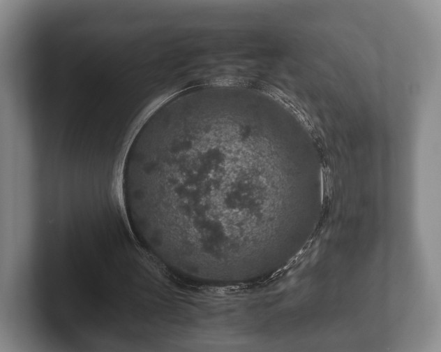 X0000102380147200808081144