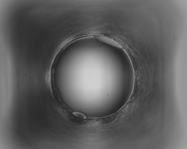 X0000102380148200808081144