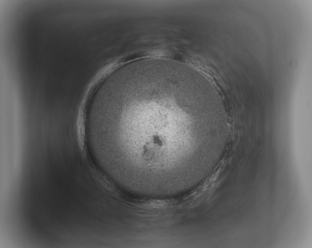 X0000102380149200808081144