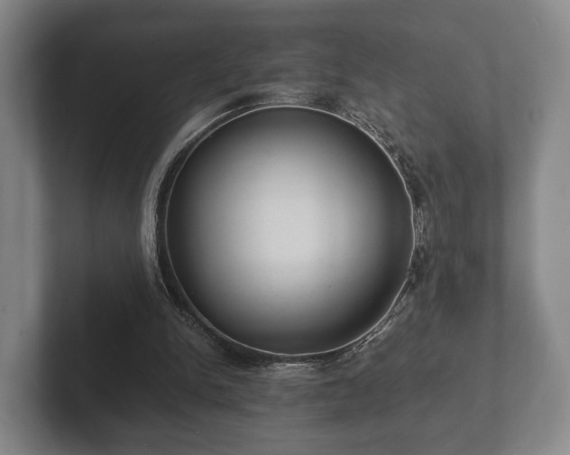 X0000102380150200808081144