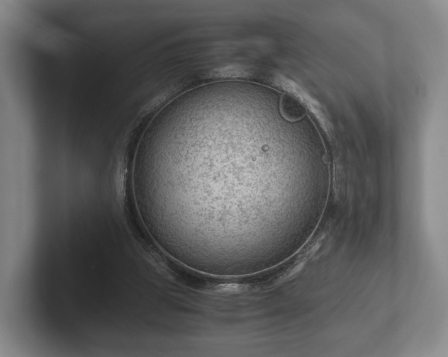 X0000102380153200808081144