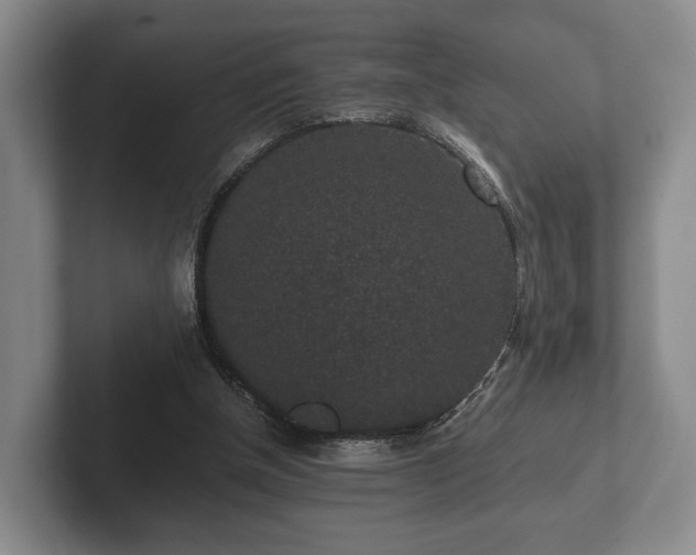 X0000102380154200808081144