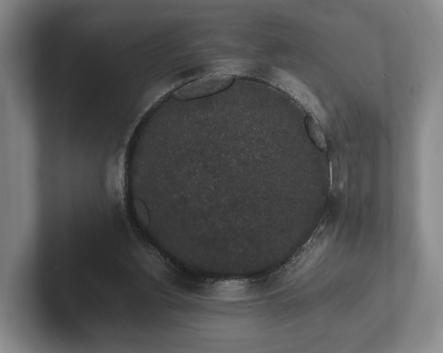 X0000102380156200808081144