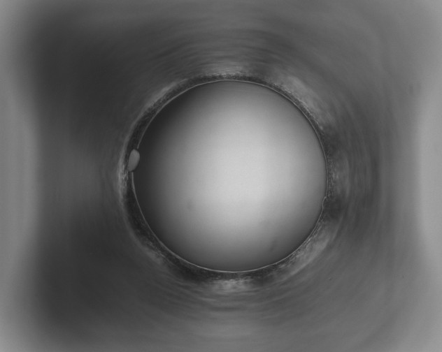 X0000102380160200808081145