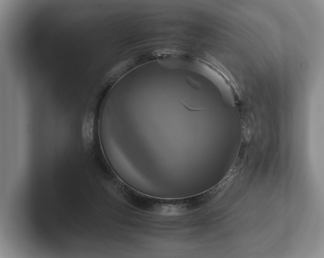 X0000102380163200808081145