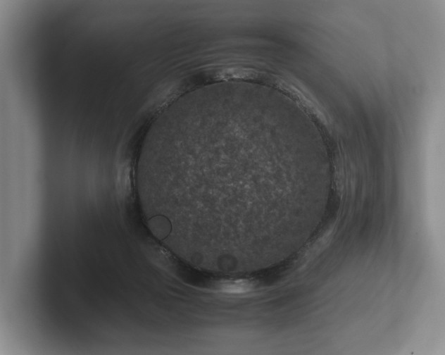 X0000102380169200808081145