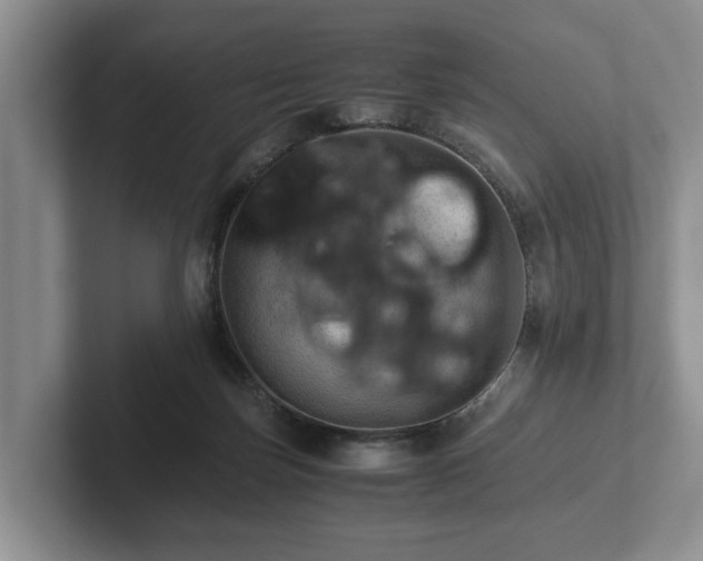 X0000102380171200808081145