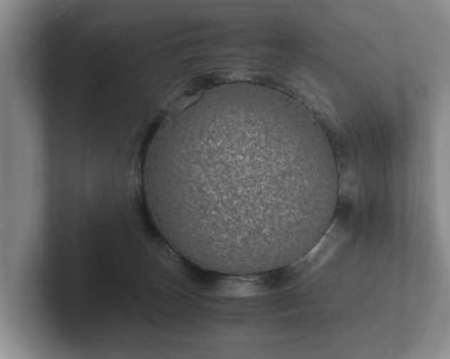 X0000102380179200808081145