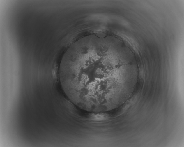 X0000102380181200808081145