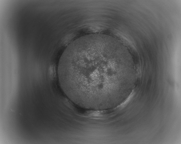 X0000102380182200808081145