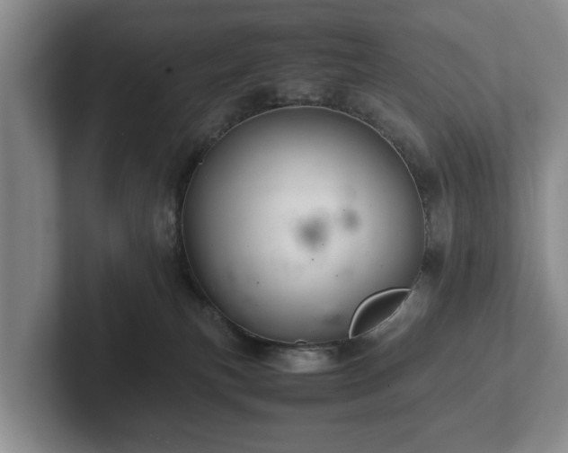 X0000102380183200808081145