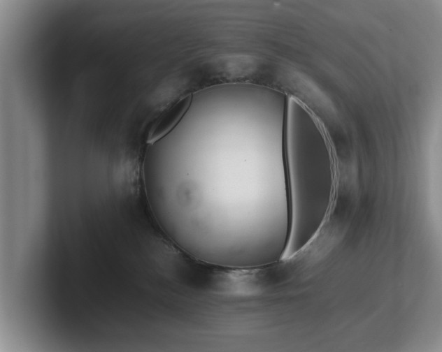 X0000102380184200808081145