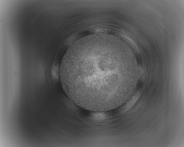 X0000102380189200808081145