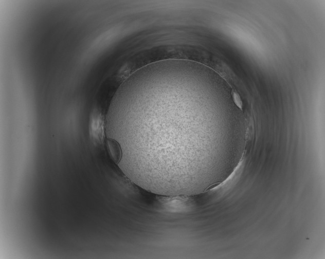 X0000102380191200808081145