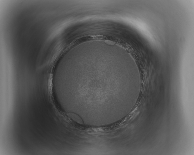 X0000102380194200808081144