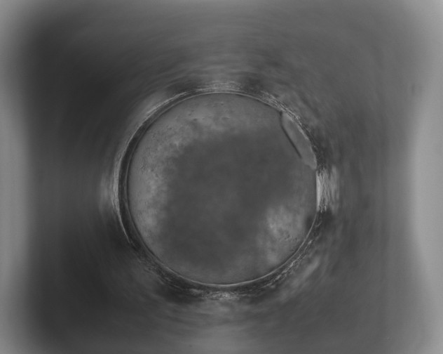 X0000102380195200808081144