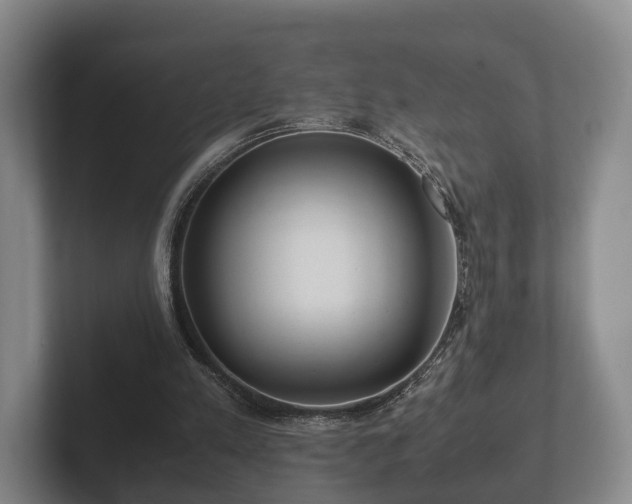 X0000102380197200808081144