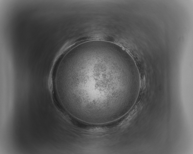 X0000102380198200808081144