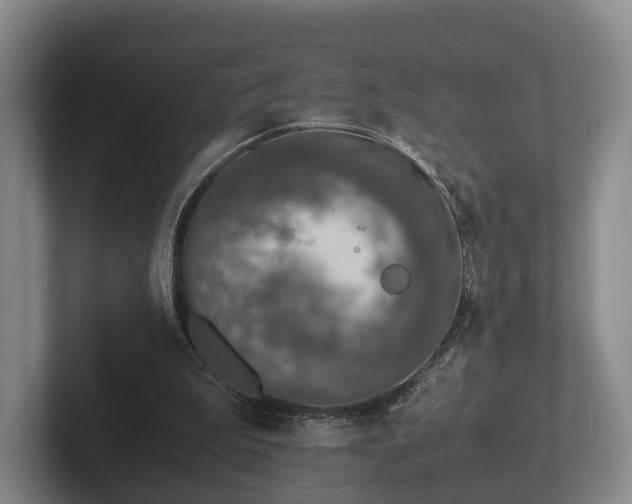 X0000102380199200808081144