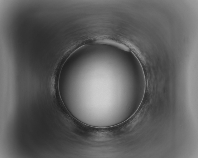 X0000102380201200808081144