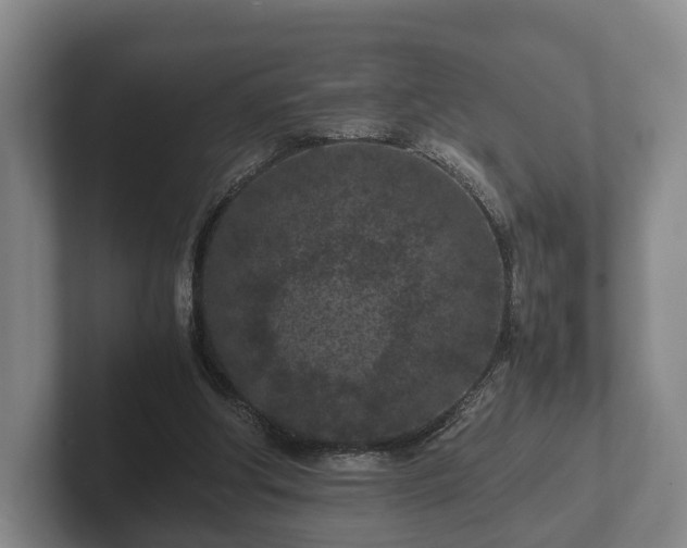 X0000102380202200808081144