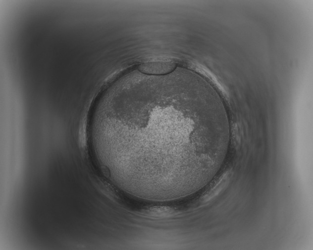 X0000102380203200808081144