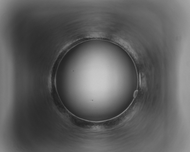 X0000102380204200808081144