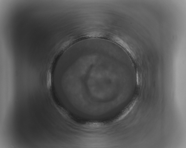 X0000102380205200808081144