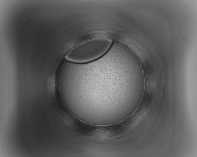 X0000102380207200808081144