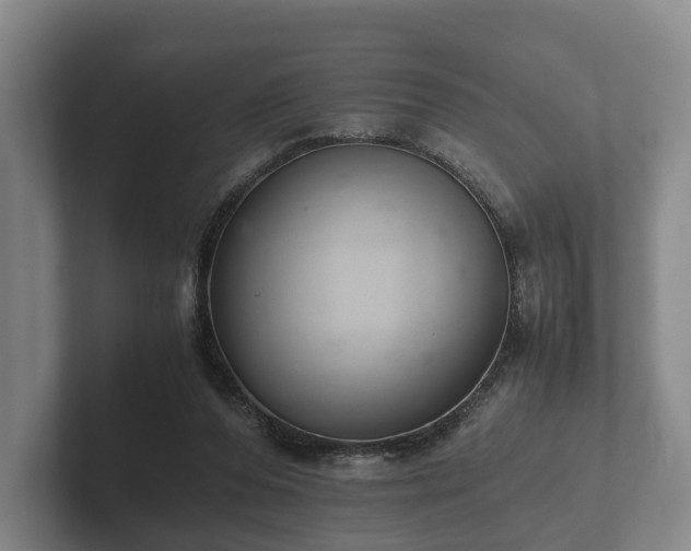 X0000102380208200808081144