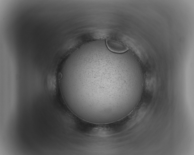 X0000102380211200808081144