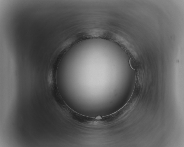 X0000102380212200808081144