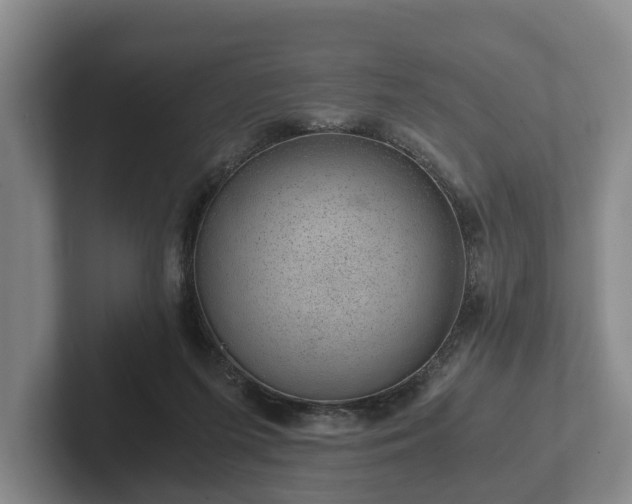 X0000102380215200808081144