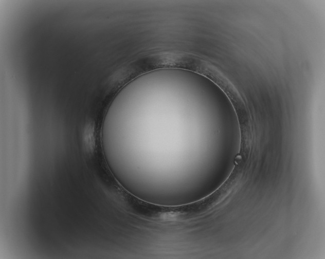 X0000102380216200808081144