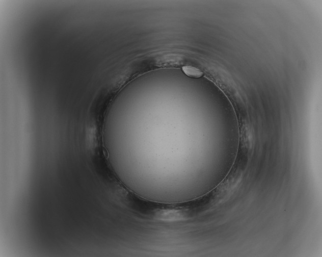 X0000102380224200808081144