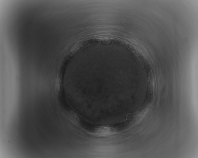 X0000102380227200808081144