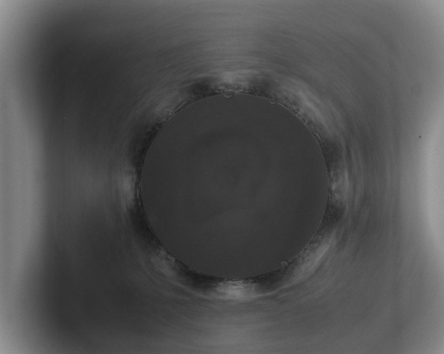 X0000102380231200808081144