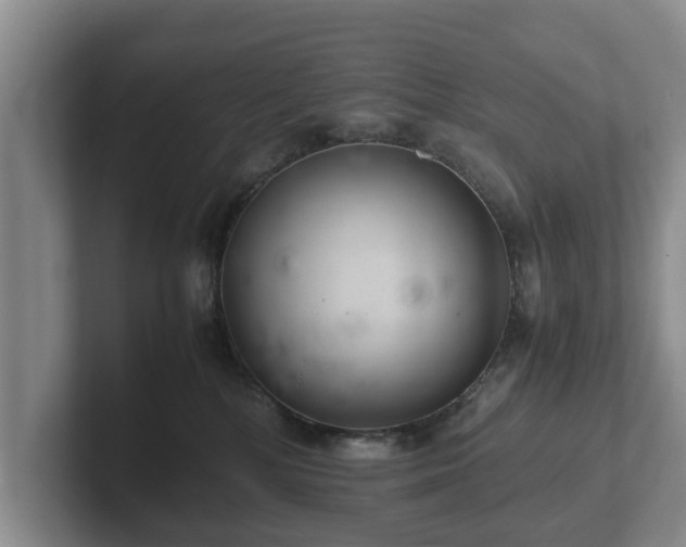 X0000102380232200808081144