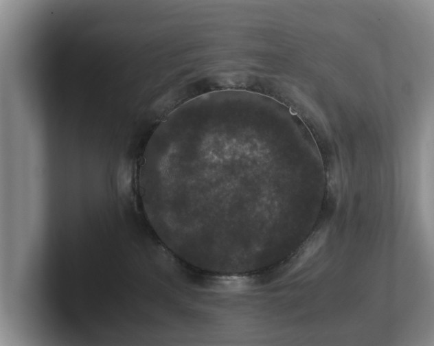 X0000102380233200808081144