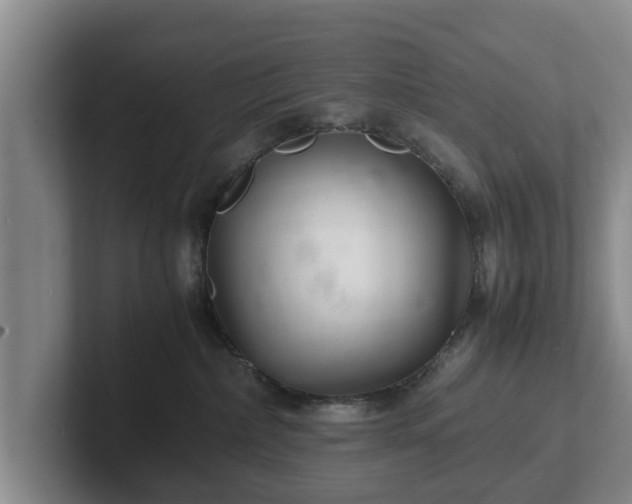 X0000102380236200808081144