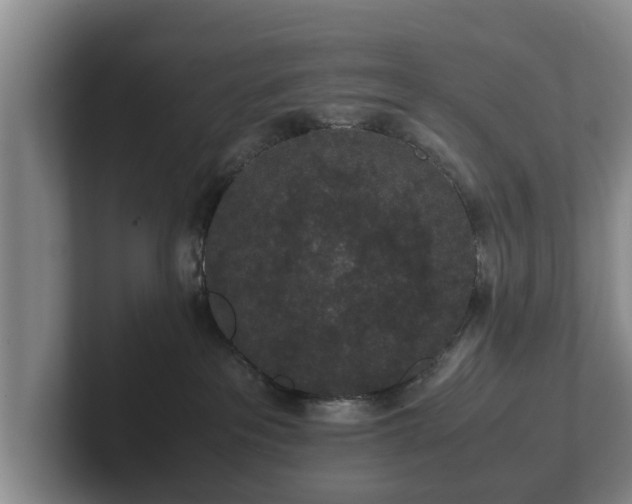 X0000102380237200808081144