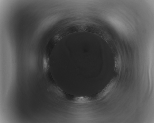 X0000102380239200808081144