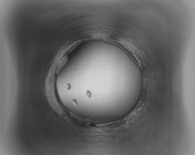 X0000102380241200808081143